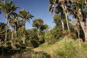 Kubánské město Cienfuegos s botanickou zahradou