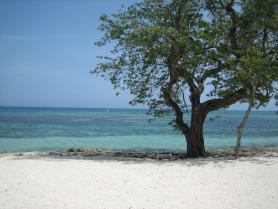 Kubánská pláž u obce Guardalavaca